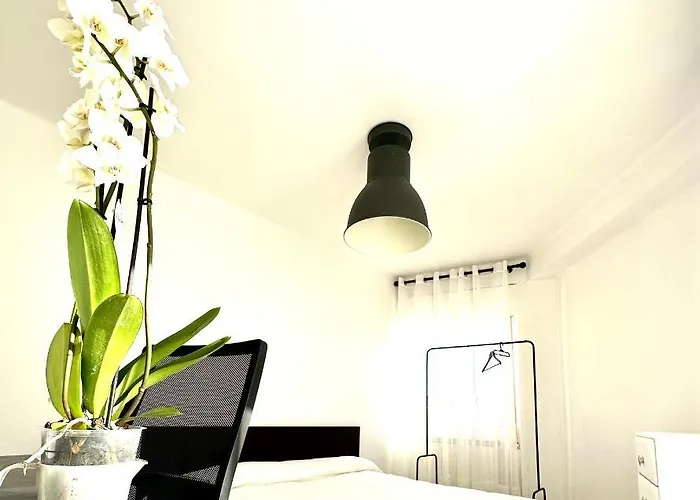 Apartamento Cebra Saragosse